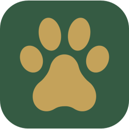 bushlink.app favicon